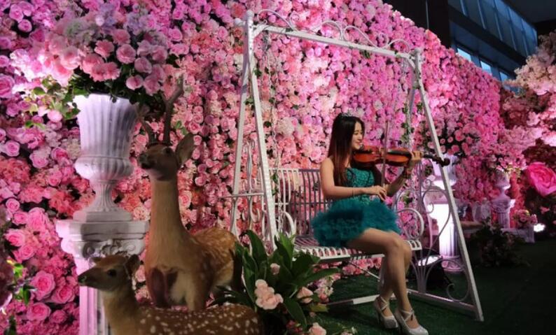  年会节目_小提琴